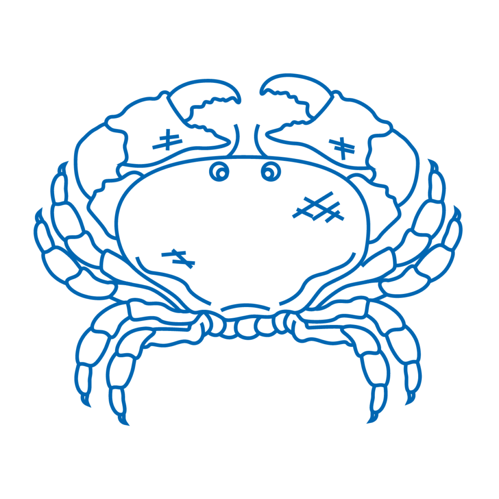 rdp crabe copie