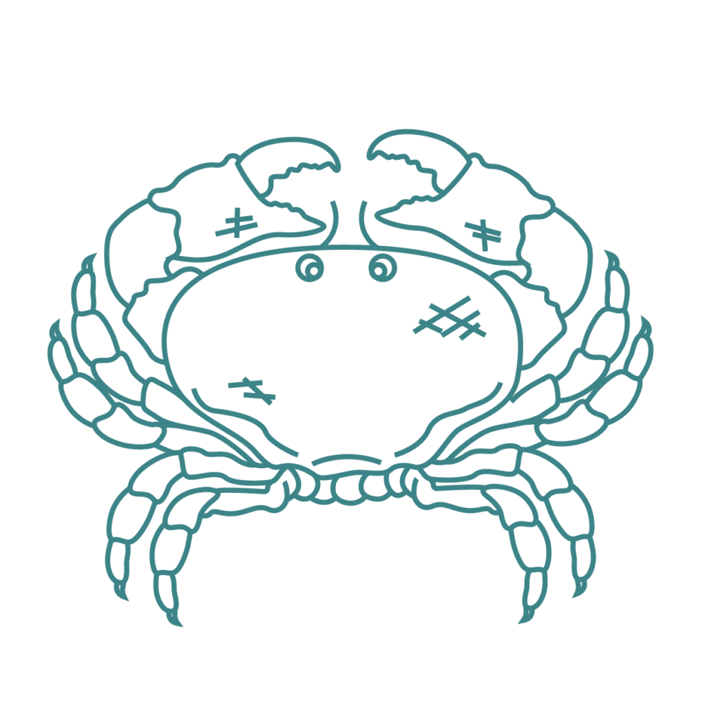 rdp crabe vert foncé copie